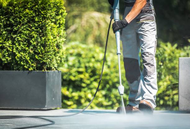 Animal Enclosure Cleaning in Bay City, MI