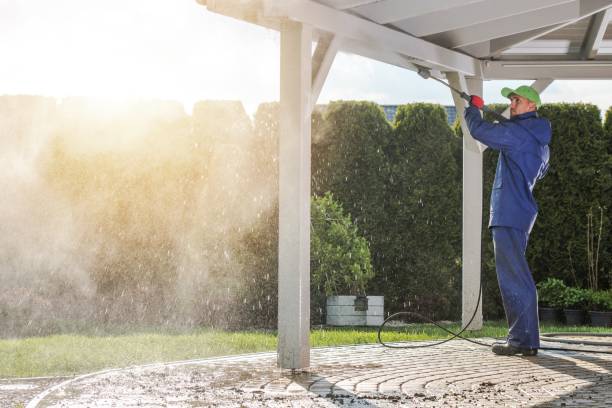 Best Animal Enclosure Cleaning  in Bay City, MI